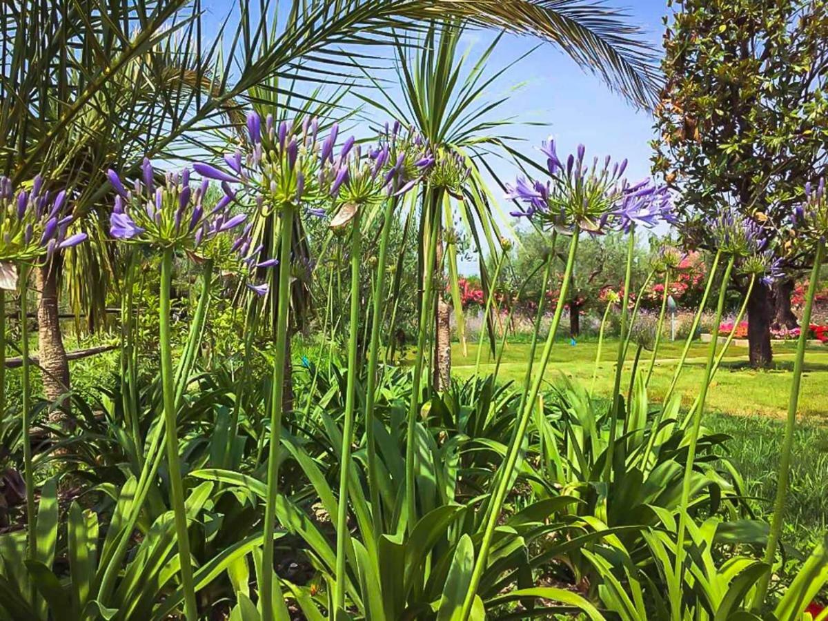 Agricampeggio Oasi Del Garda Лацизе Екстер'єр фото